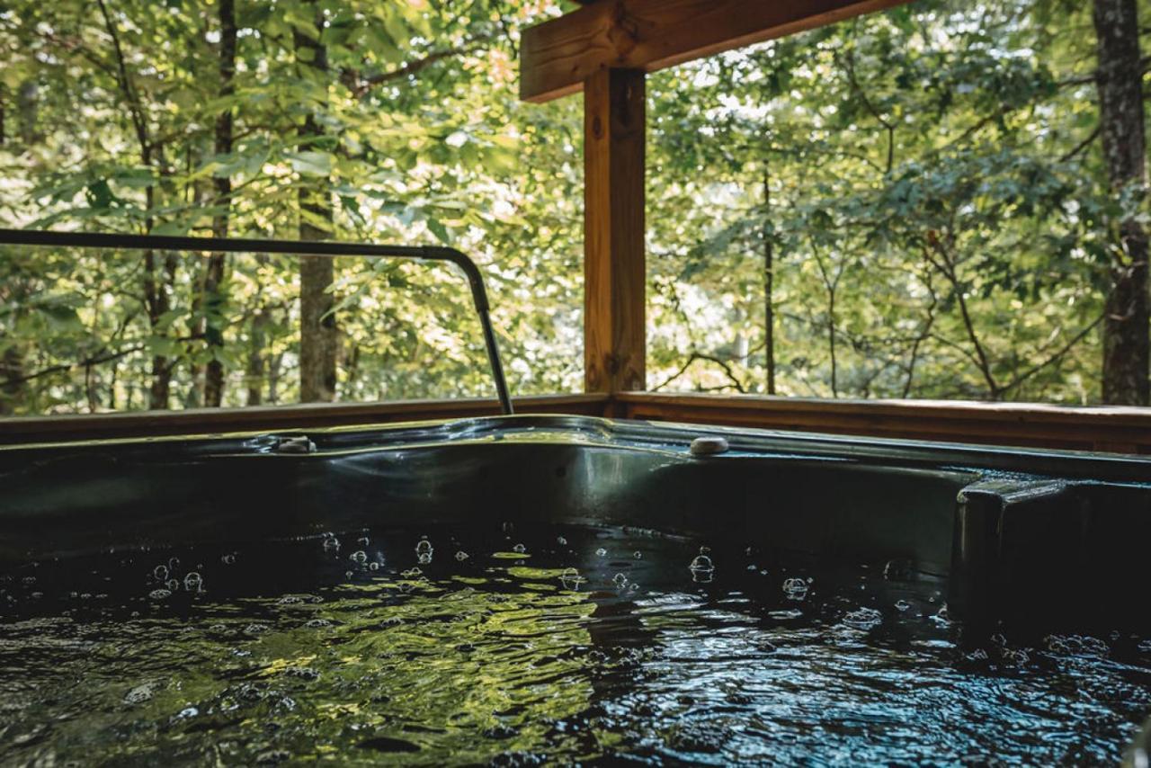 Blueberry Hideaway At 36 North Cabin - Hot Tub Purlear エクステリア 写真