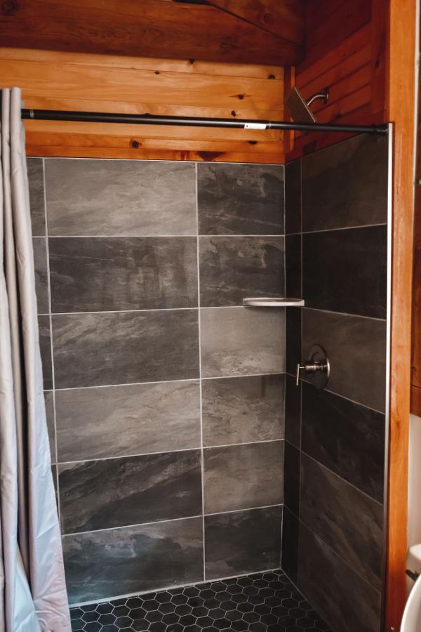 Blueberry Hideaway At 36 North Cabin - Hot Tub Purlear エクステリア 写真