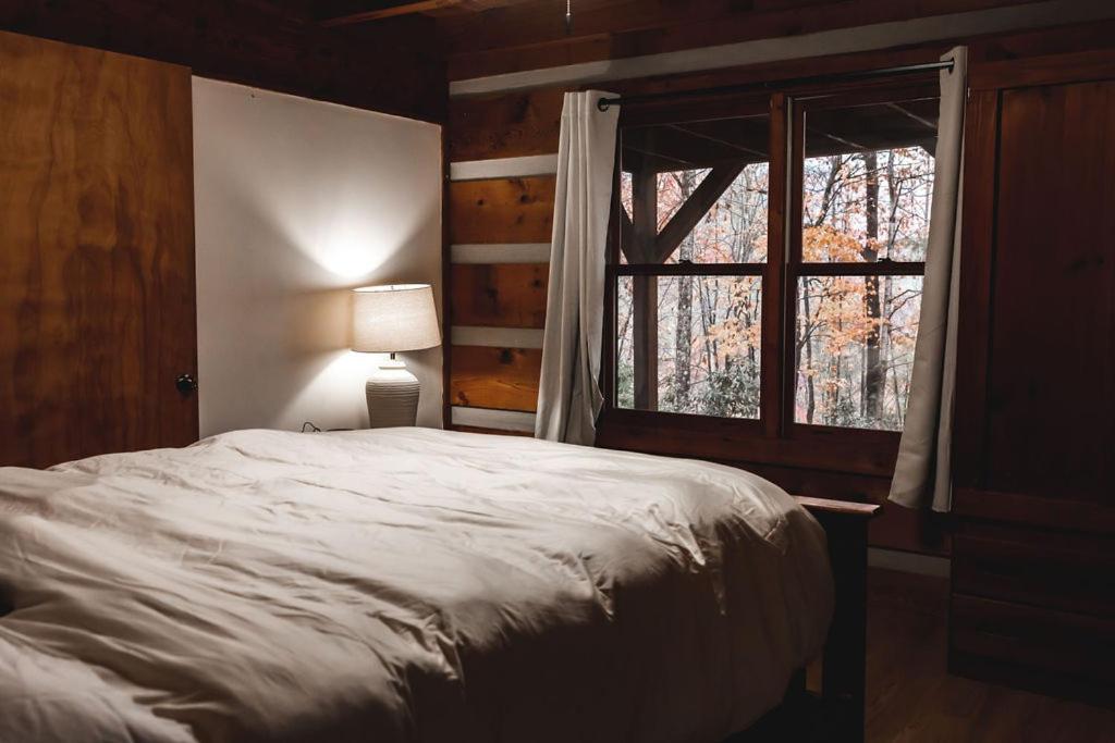 Blueberry Hideaway At 36 North Cabin - Hot Tub Purlear エクステリア 写真
